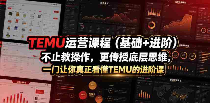 TEMU运营课程(基础+进阶),不止教操作,更传授底层思维,一门让你真正看懂TEMU的进阶课-造富网