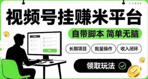 最新视频号挂G賺米平台，自带脚本，长期能做，简单无脑【揭秘】-造富网