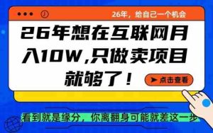 26年想在互联网月入10个W+,做知识付费,卖项目就足够了【揭秘】-造富网