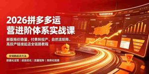 2026拼多多运营进阶体系实战课|新版拖价稳量、付费转投产、自然流矩阵、高投产链接起店全链路教程-造富网