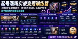 苗子起号涨粉实战变现训练营，多类目零基础爆款起号、精准起号节奏、新手稳涨粉可落地变现全课-造富网
