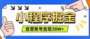 微信小程序掘金,团队自营小程序累计变现38W+,稳定运营三年,一部手机即可操作【揭秘】-造富网