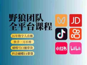 野狼团队2026新版全平台短视频带货教学,打开流量突破口,开始Ai带货(更新0724)-造富网