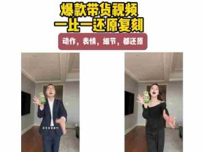 AI带货视频复刻,一比一还原加二创,动作,表情,细节,都还原,新手也能直接套用-造富网
