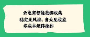云电商智能数据收集，稳定无风控，当天做当天见收益，零成本矩阵操作【揭秘】-造富网