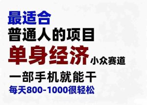身经济小众赛道,一部手机就能干,每天搞个800-1000很轻松,最适合普通人的项目【揭秘】-造富网